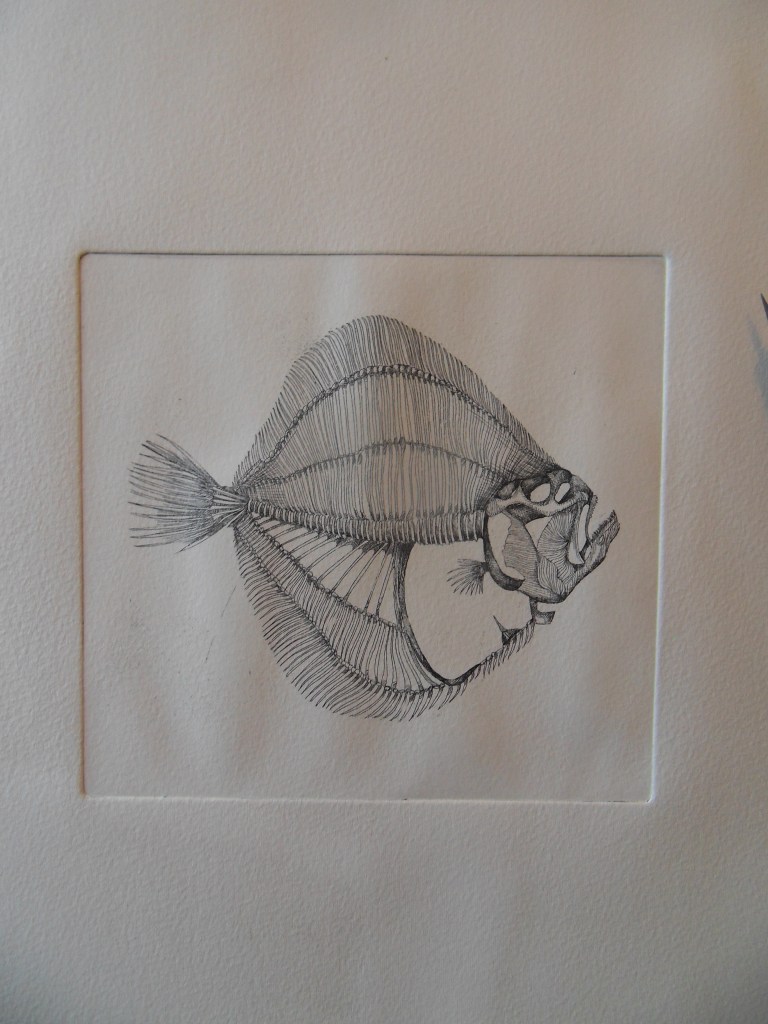 Turbo - eau forte sur zinc, tirage noir #1, 15x15cm, 2015