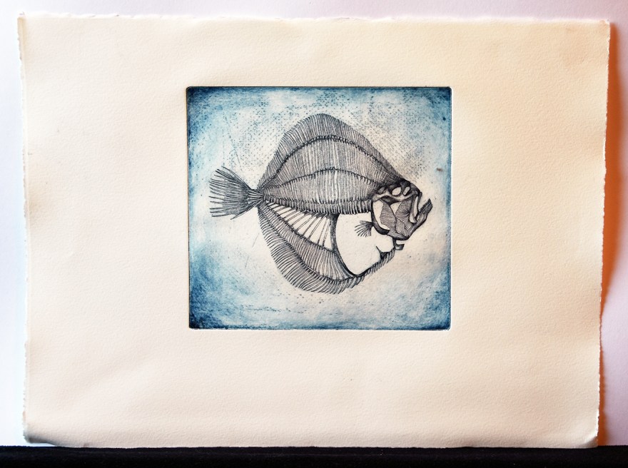 Turbo - eau forte sur zinc, tirage bleu, 15x15cm, 2015