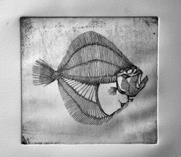 Turbo - eau forte sur zinc, tirage noir #2, 15x15cm, 2015