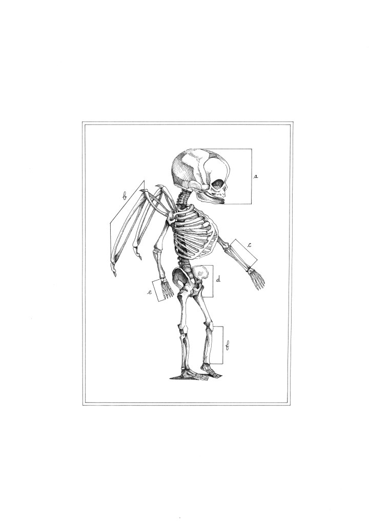 Putto #2 - encre sur papier, A3, 2015