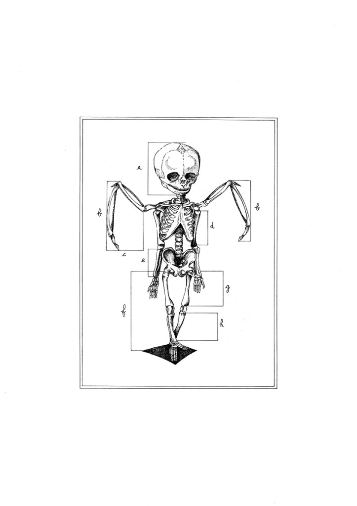 Putto #1 - encre sur papier, A3, 2015