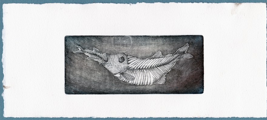 Fossile - Tirage#3, eau forte, pointe sèche et aquatinte sur zinc, 15x6,5cm, 2015