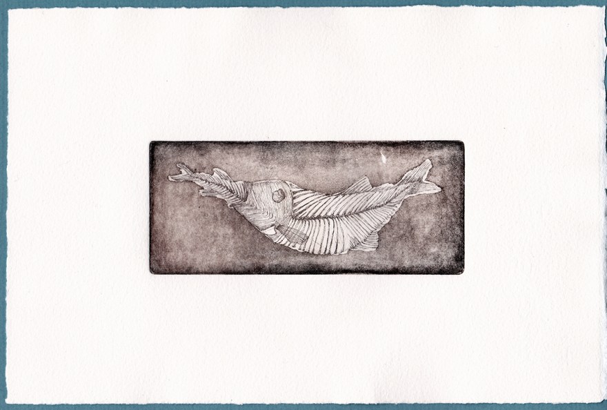 Fossile - Tirage#5, eau forte, pointe sèche et aquatinte sur zinc, 15x6,5cm, 2015