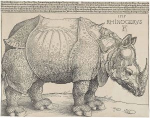 Dürer's_Rhinoceros,_1515