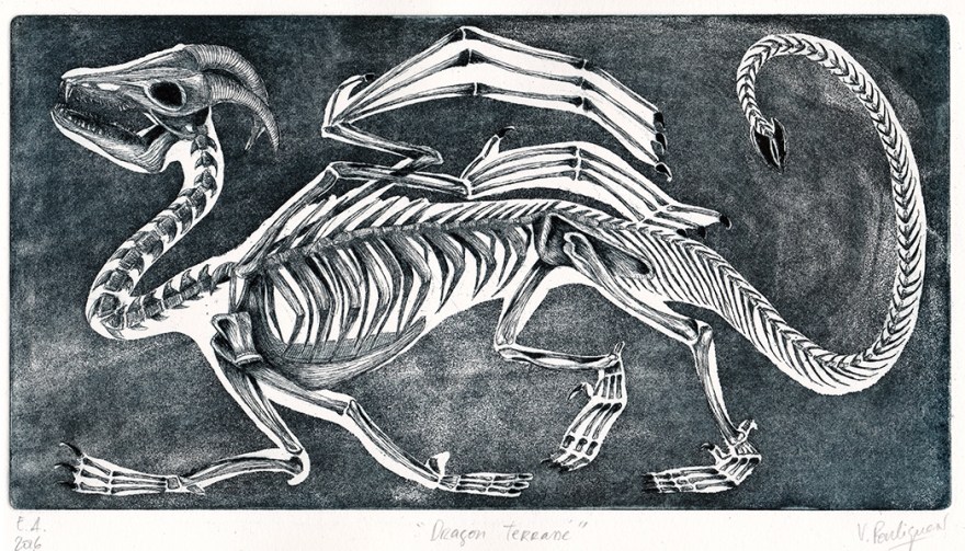 Fossile - Dragon terrassé, eau-forte et aquatinte et pointe sèche sur zinc, tirage 4-2, mai 2016