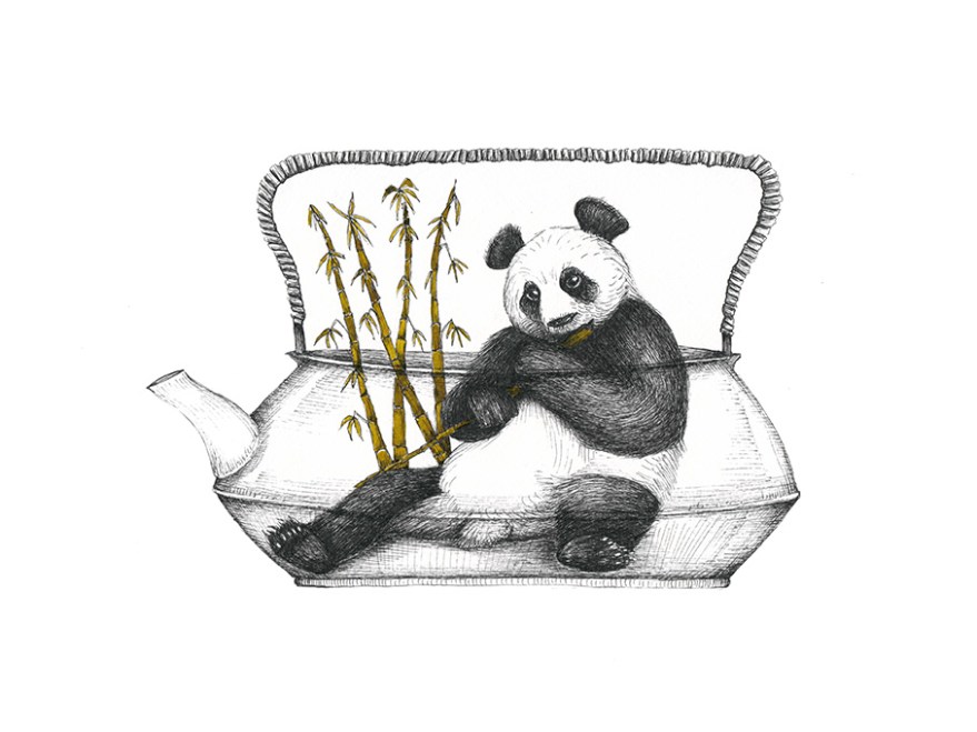 Thé de Panda, encre sur papier aquarelle, 24x32 cm, juin 2016