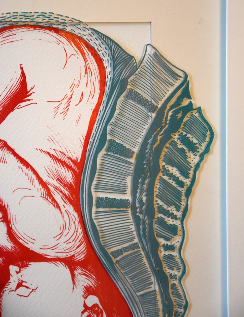 Le Haricot, sérigraphie bichromie sur papier et verre, 21x30cm, juin 2016